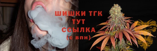spice Арсеньев