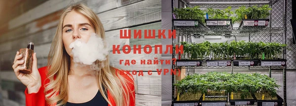 spice Арсеньев
